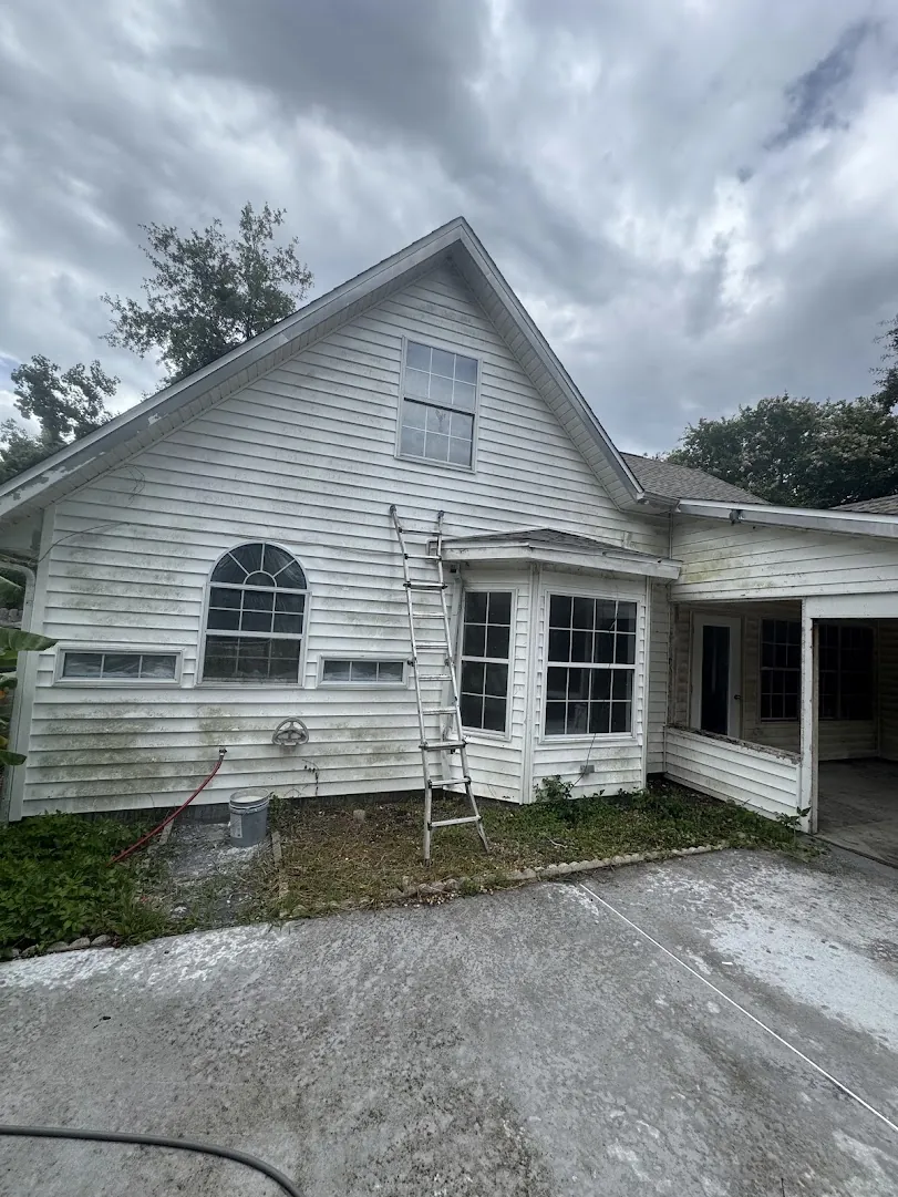 Home exterior wall heavily stained with mold before a full wash