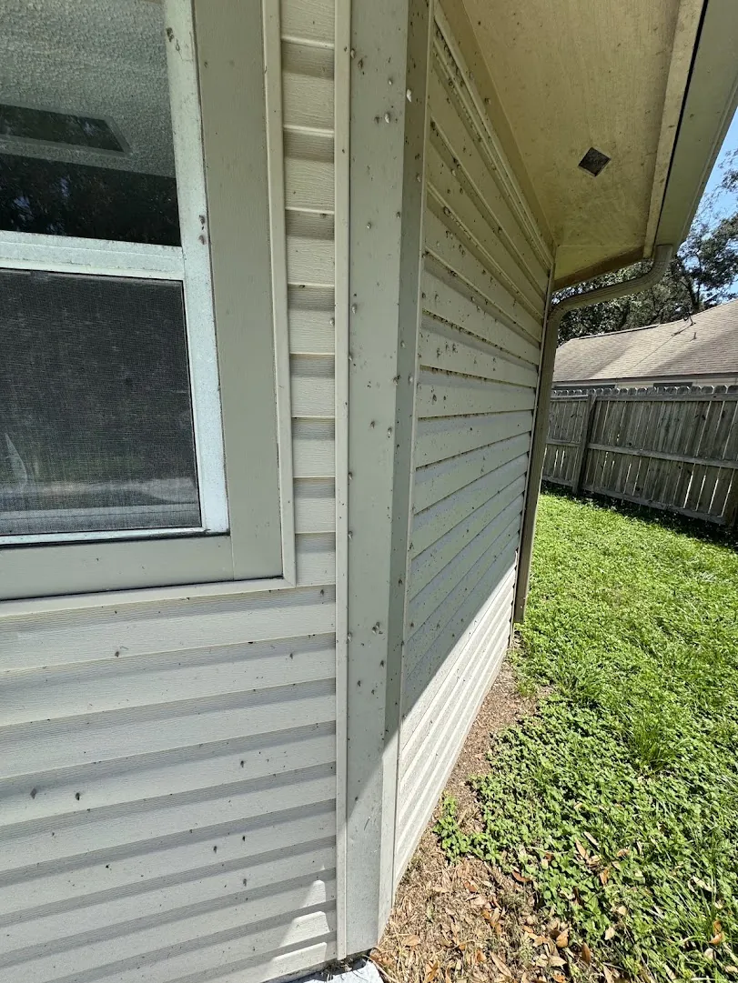 Close-up of vinyl siding covered in dirt and mildew before cleaning