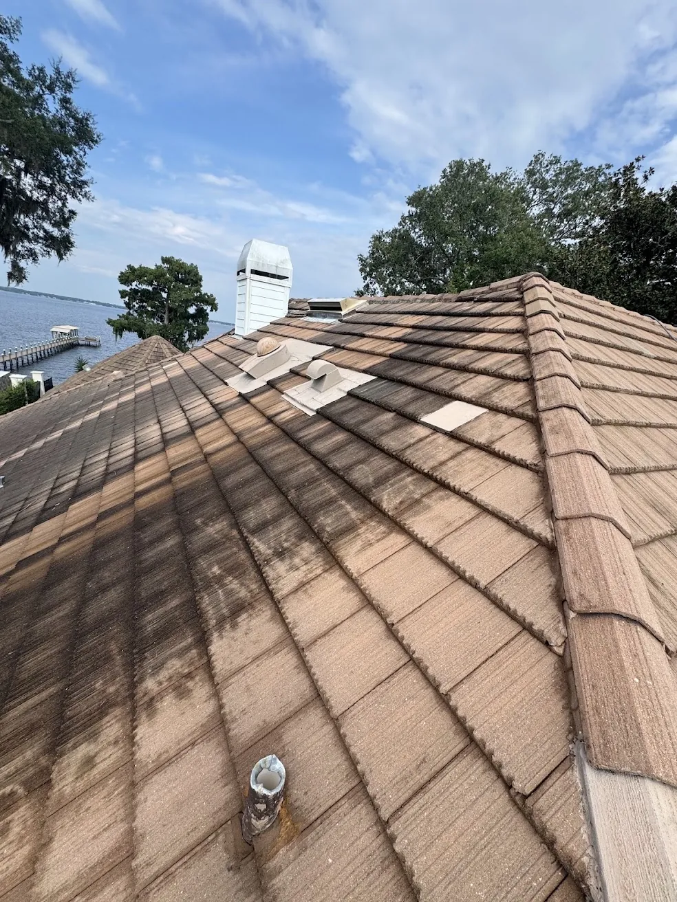Tile roof showing heavy black streak buildup and algae staining before cleaning